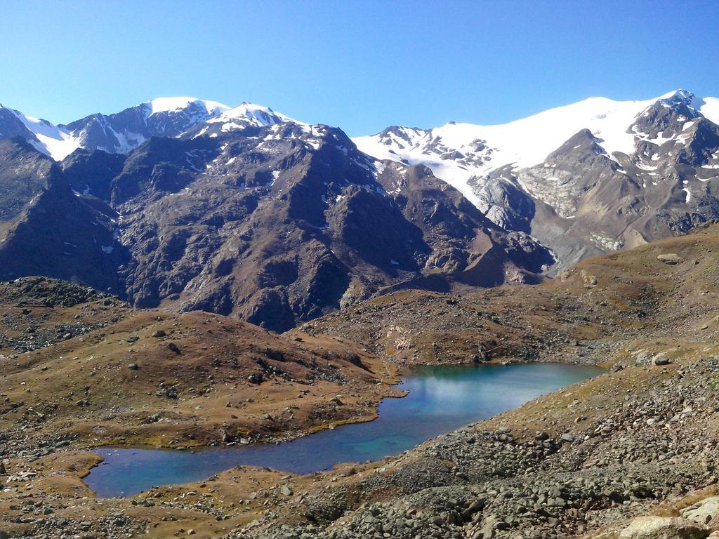 Hotel Domina Parco Dello Stelvio Cogolo Esterno foto