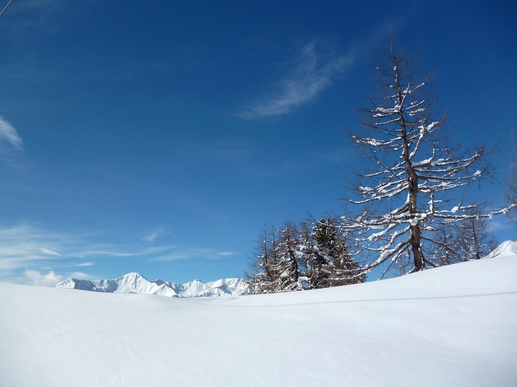 Hotel Domina Parco Dello Stelvio Cogolo Esterno foto